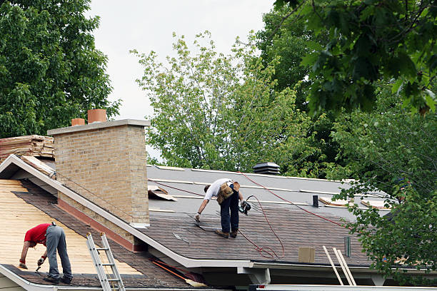 Fast & Reliable Emergency Roof Repairs in Pine Lakes, FL